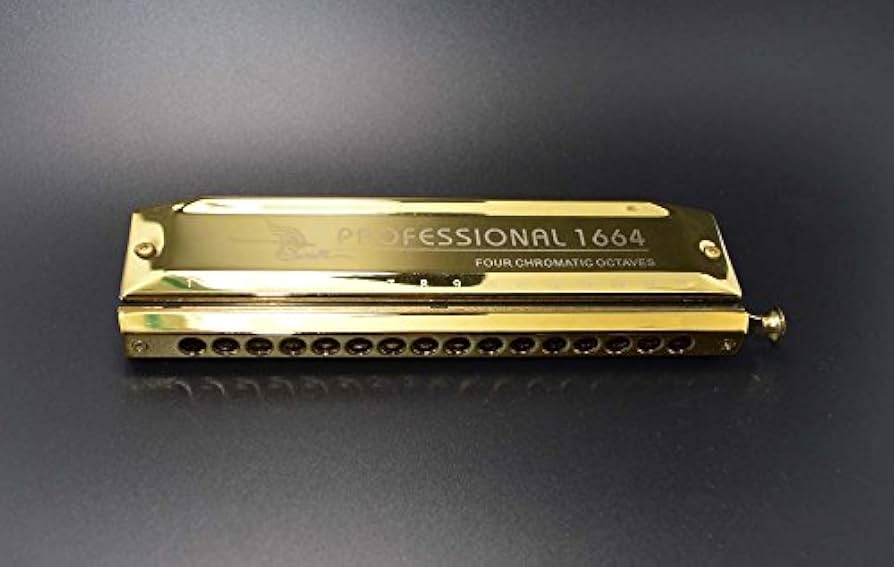 Amazon.com: Swan, 16 Holes 64 Sounds, Chromatic Harmonica, Key of
